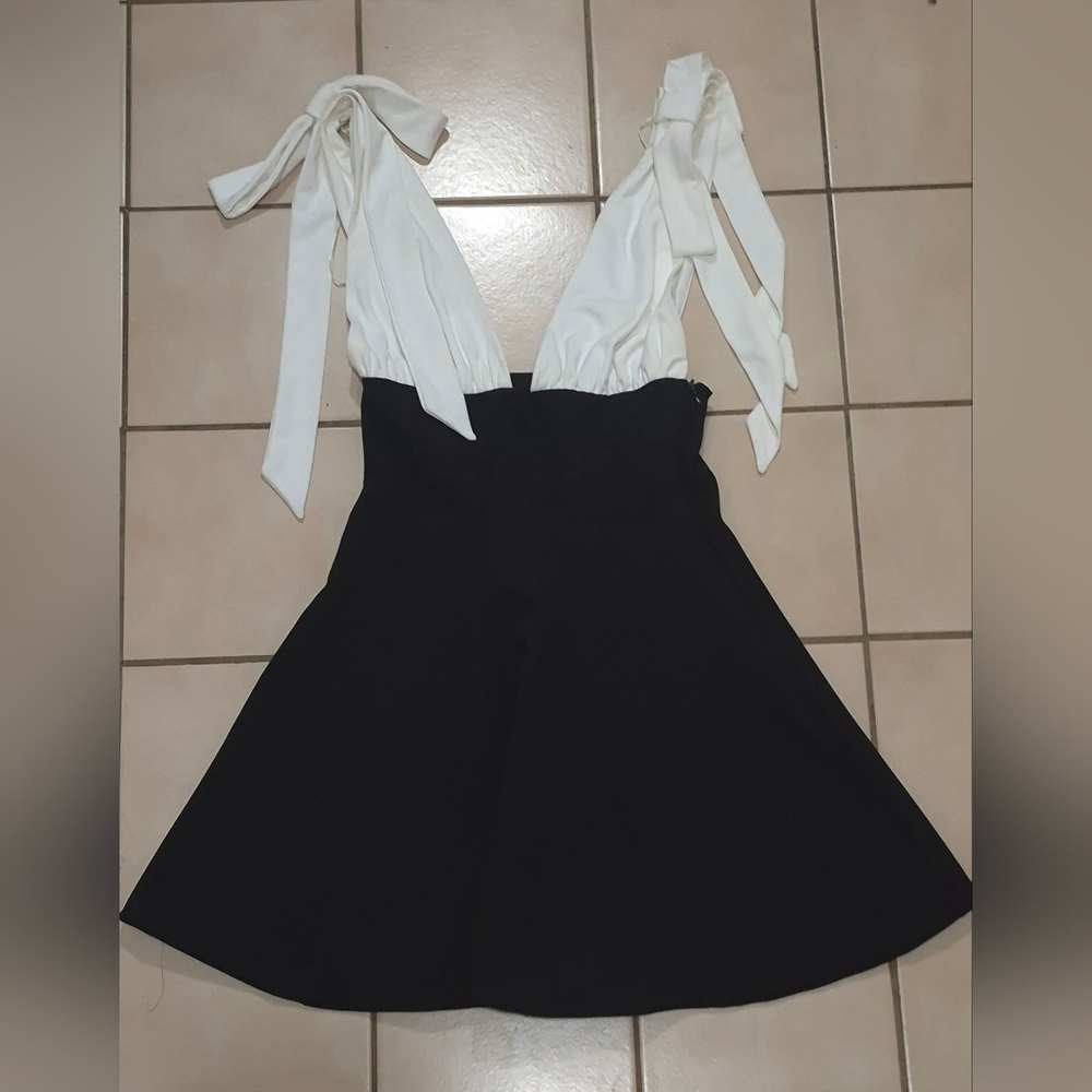 Zara Black and White Dress